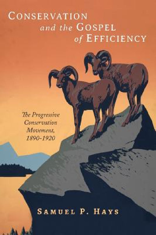 Conservation and the Gospel of Efficiency: The Progressive Conservation Movement, 1890-1920 by Samuel P. Hays
