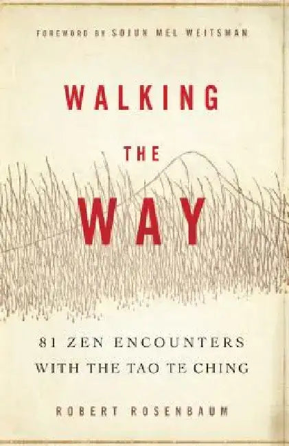 Walking the Way: 81 Zen Encounters with the Tao Te Ching by Robert Rosenbaum