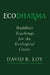 Ecodharma: Buddhist Teaching for the Precipice by David Loy