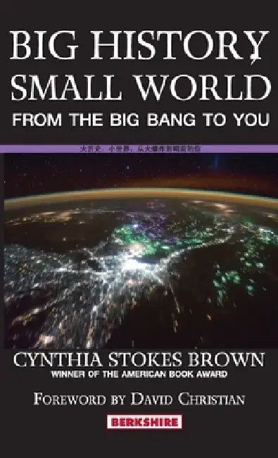 Big History, Small World by Cynthia Stokes Brown
