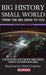 Big History, Small World by Cynthia Stokes Brown