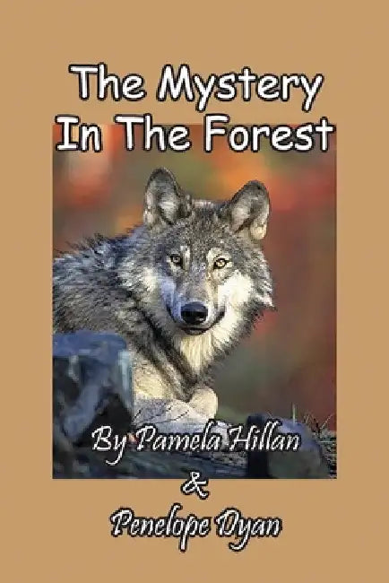 The Mystery In The Forest by Pamela Hillan
