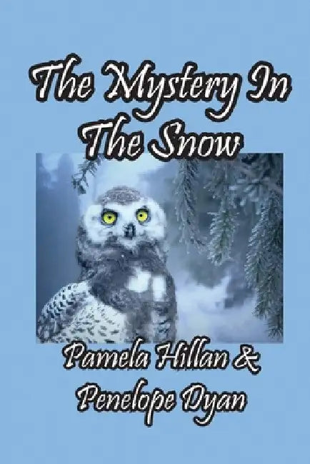 The Mystery In The Snow by Pamela Hillan