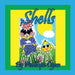 Shells by Dyan