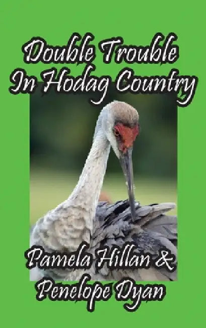 Double Trouble In Hodag Country by Pamela Hillan