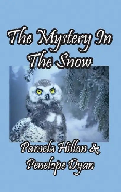 The Mystery In The Snow by Pamela Hillan