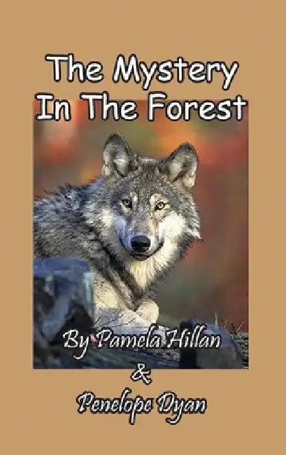 The Mystery In The Forest by Pamela Hillan