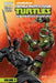 Teenage Mutant Ninja Turtles: New Animated Adventures: Volume 4 by Erik Burnham