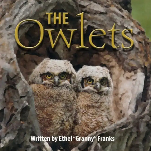 The Owlets by Ethel Franks