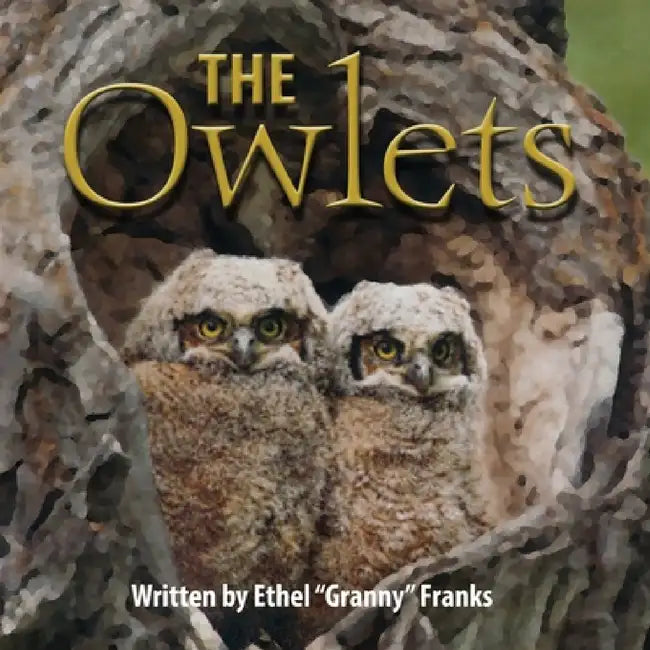 The Owlets by Ethel Franks