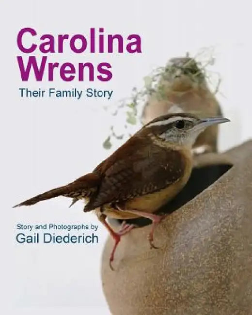 Carolina Wrens: Their Family Story by Gail Diederich, Gail Diederich
