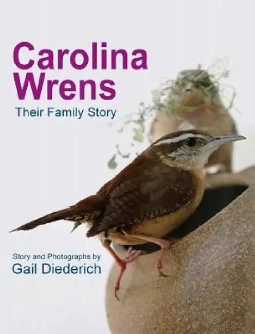 Carolina Wrens: Their Family Story by Gail Diederich, Gail Diederich