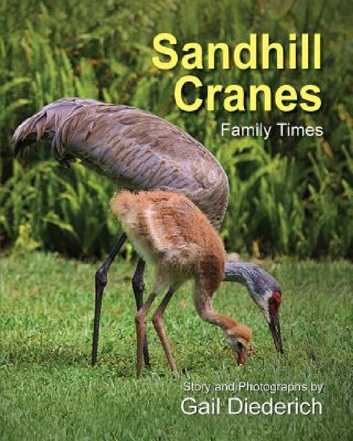 Sandhill Cranes, Family Times by Gail Diederich, Gail Diederich