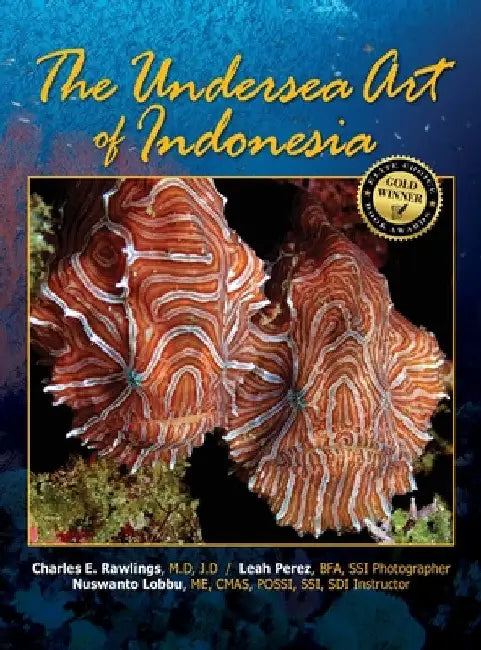 The Undersea Art of Indonesia by M. D. J. D. Rawlings