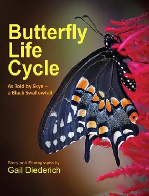 Butterfly Life Cycle: As Told by Skye - a Black Swallowtail by Gail Diederich