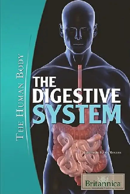 The Digestive System by Kara Rogers