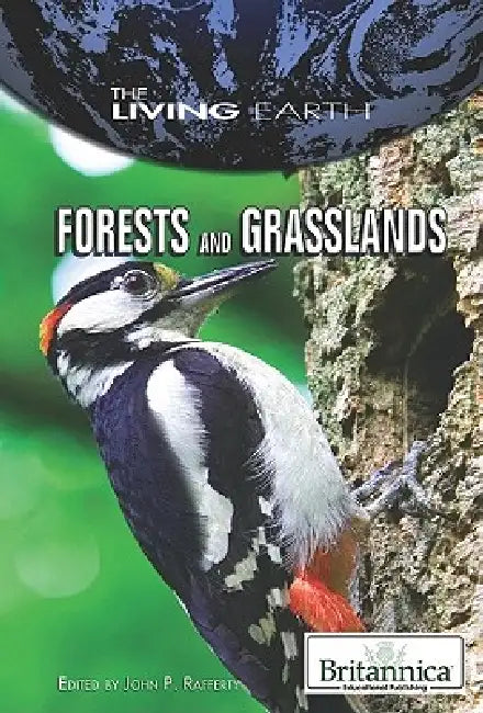 Forests and Grasslands by John P. Rafferty