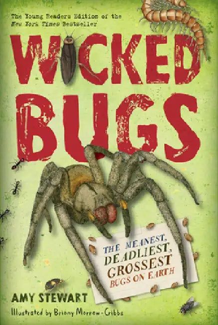 Wicked Bugs (Young Readers Edition): The Meanest, Deadliest, Grossest Bugs on Earth by Amy Stewart