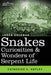Snakes Curiosities & Wonders of Serpent Life by Catherine C. Hopley