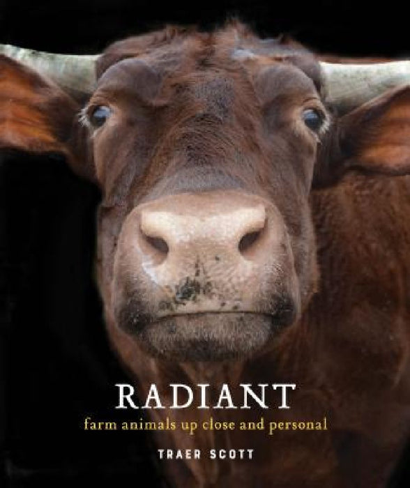 Radiant: Farm Animals Up Close and Personal by Traer Scott