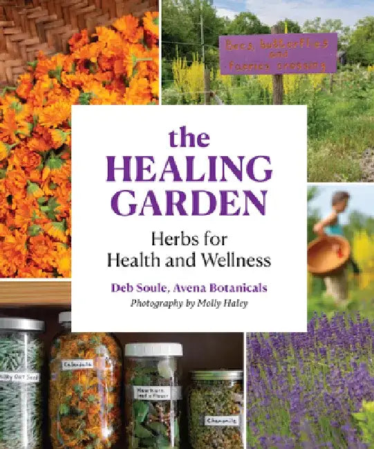 The Healing Garden by Deb Soule