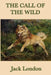 The Call of the Wild: A Novel of Survival, Instinct, and the Northern Wilderness by Jack London