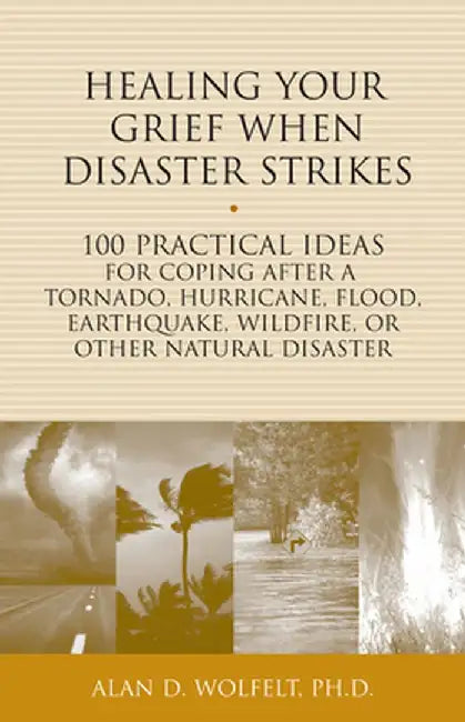 Healing Your Grief When Disaster Strikes: 100 Practical Ideas for Coping After a Tornado, Hurricane, Flood, Earthquake, Wildfire, or Other Natural Dis by Alan D. Wolfelt