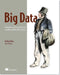 Big Data: Principles and Best Practices of Scalable Realtime Data Systems by Nathan Marz