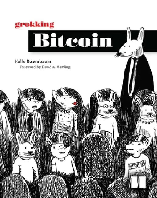 Grokking Bitcoin by Kalle Rosenbaum