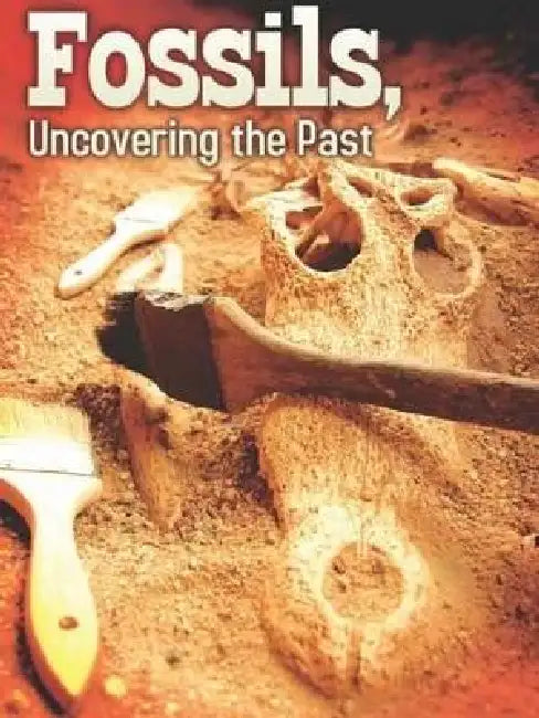Fossils by Tom Greve