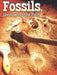 Fossils by Tom Greve