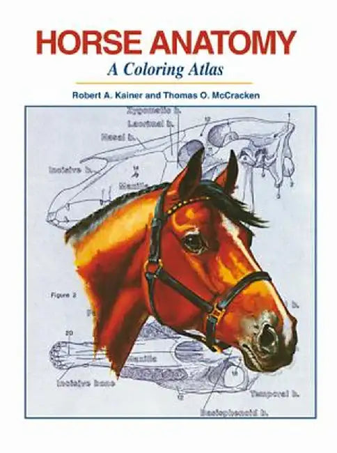 Horse Anatomy: A Coloring Atlas by Robert A. Kainer