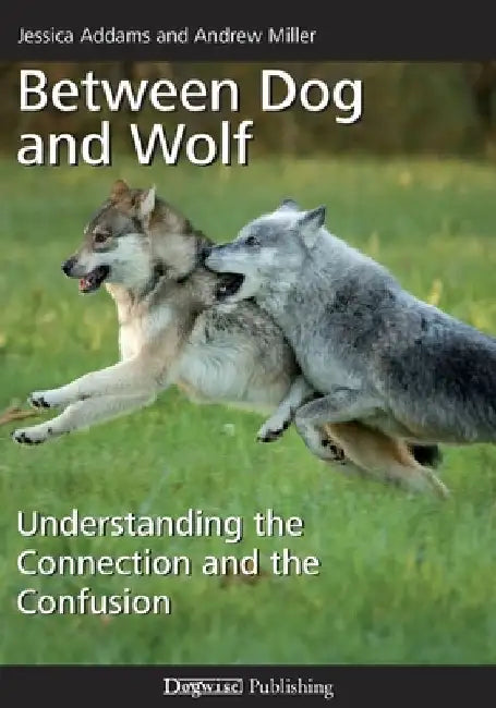 Between Dog and Wolf: Understanding the Connection and the Confusion by Andrew Miller