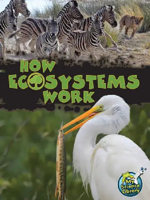 How Ecosystems Work by Julie Lundgren