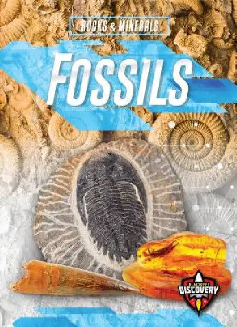 Fossils by Patrick Perish