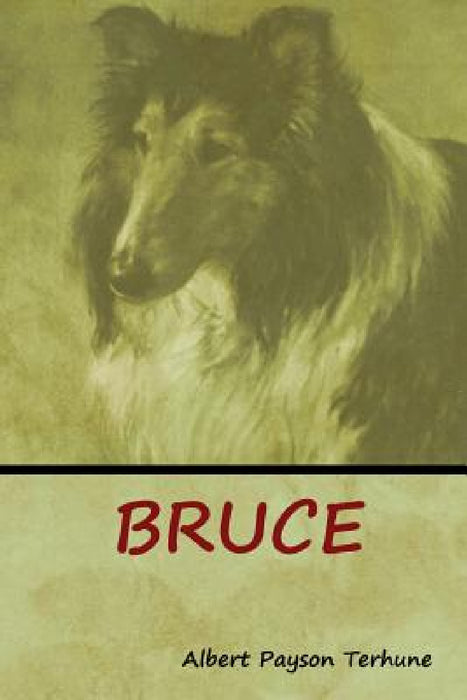 Bruce by Albert Payson Terhune