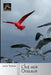 L'Île aux Oiseaux by Dusoulier, Patrick