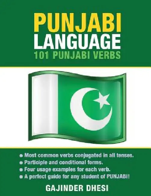 Punjabi Language: 101 Punjabi Verbs by Gajinder Dhesi
