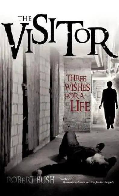 The Visitor by Robert Bush