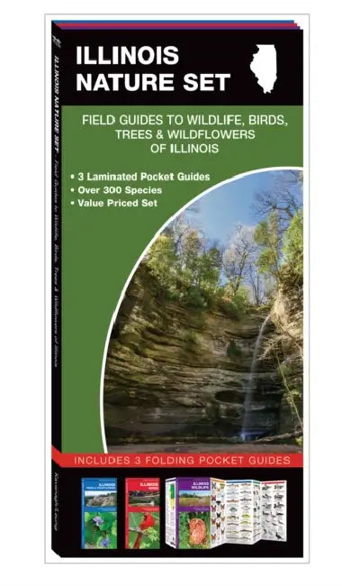 Illinois Nature Set: Field Guides to Wildlife, Birds, Trees & Wildflowers of Illinois by Waterford Press Inc. (COR)/ Kavanagh/ Leung (ILT)