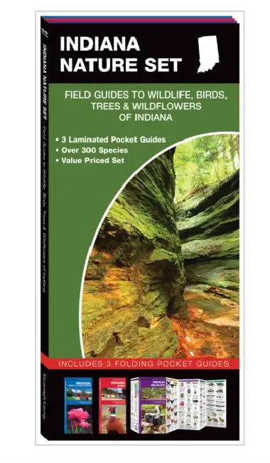 Indiana Nature Set: Field Guides to Wildlife, Birds, Trees & Wildflowers of Indiana by James/ Leung, Raymond (ILT) Kavanagh