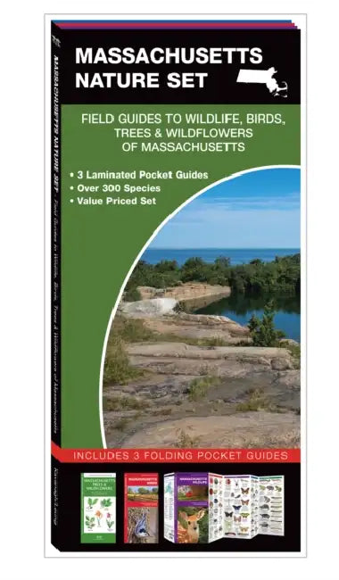 Massachusetts Nature Set: Field Guides to Wildlife, Birds, Trees & Wildflowers of Massachusetts by James Kavanagh, Waterford Press, Raymond Leung