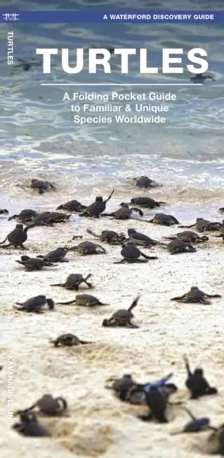 Turtles: A Folding Pocket Guide to Familiar & Unique Species Worldwide by James Kavanagh, Waterford Press, Raymond Leung