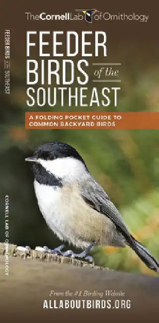 Feeder Birds of the Southeast: A Folding Pocket Guide to Common Backyard Birds by Waterford Press