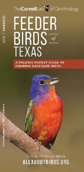 Feeder Birds of Texas: A Folding Pocket Guide to Common Backyard Birds by Waterford Press