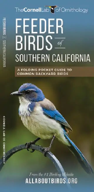 Feeder Birds of Southern California: A Folding Pocket Guide to Common Backyard Birds by Waterford Press