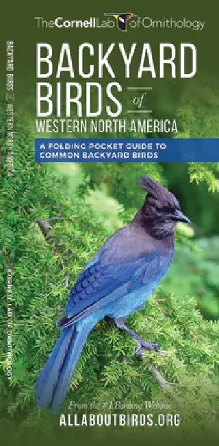 Backyard Birds of Western North America: A Folding Pocket Guide to Common Backyard Birds by Waterford Press