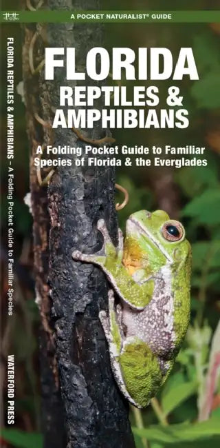 Florida Reptiles & Amphibians: A Folding Pocket Guide to Familiar Species of Florida & the Everglades by James Kavanagh
