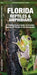 Florida Reptiles & Amphibians: A Folding Pocket Guide to Familiar Species of Florida & the Everglades by James Kavanagh