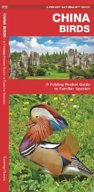 China Birds: A Folding Pocket Guide to Familiar Species by James Kavanagh
